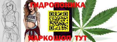 соль ск Краснодар