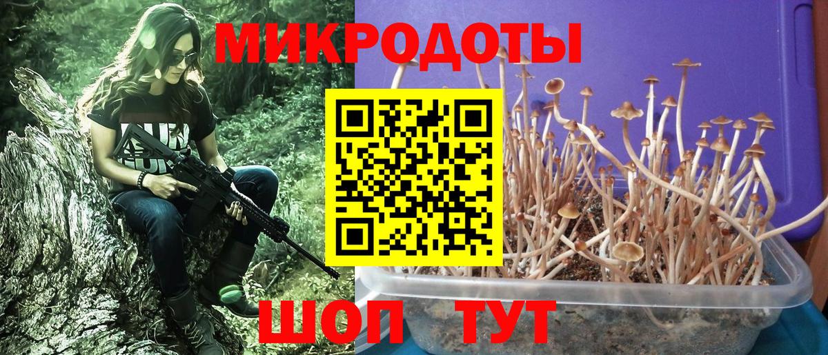 Ессентуки  Галлюциногенные грибы Psilocybe  Вход с VPN  Псилоцибиновые грибы Cubensis 
